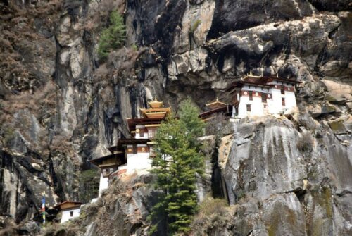 DSC 0601 (1) (1) (1)