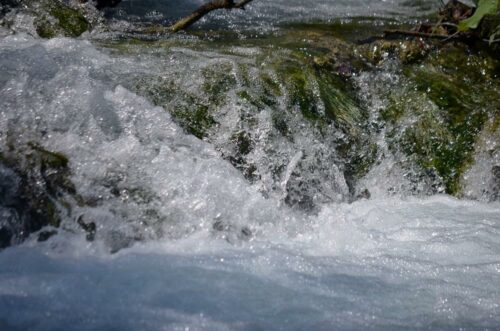 DSC 0605 (1) (1) (1)