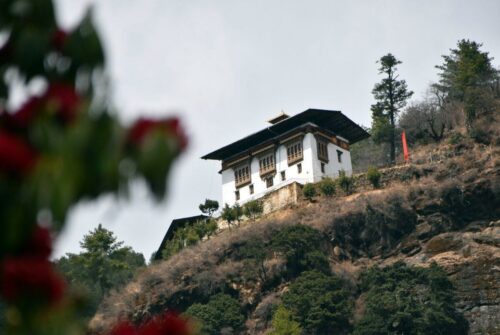 DSC 0607 (1) (1) (1)