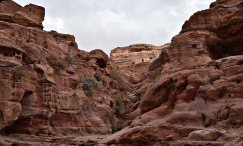 DSC 0607 (1) (1) (1) (1)