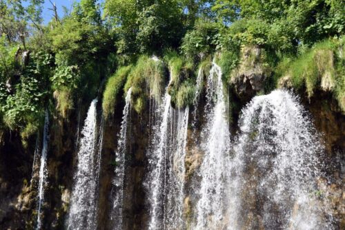 DSC 0619 (1) (1) (1) (1) (1)