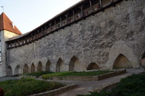 DSC 0623 (1) (1) (1)