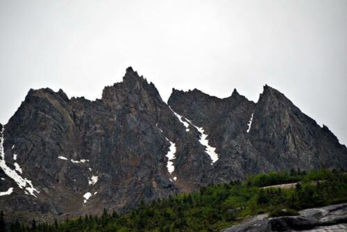 DSC 0625 (1) (1)