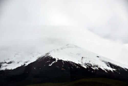 DSC 0626 (1) (1)