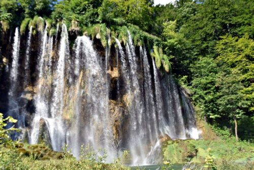 DSC 0629 (1) (1) (1)