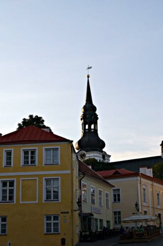 DSC 0644 (1) (1)