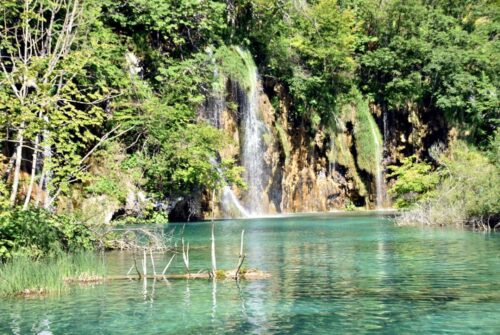 DSC 0672 (1) (1) (1) (1) (1) (1) (1)