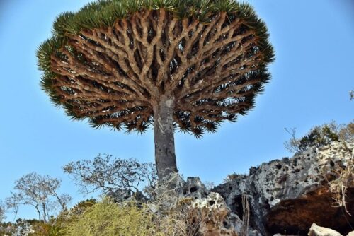 DSC 0674 (1) (1) (1) (1)