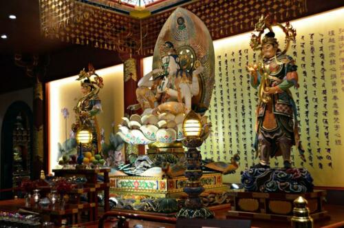DSC 0684 (1) (1)