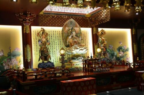DSC 0689 (1)