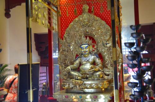DSC 0693 (1) (1)