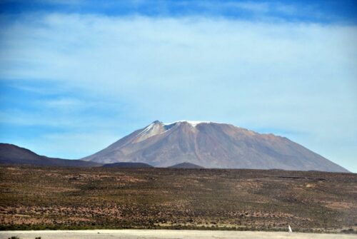 DSC 0700 (1) (1) (1) (1)