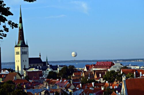 DSC 0707 (1) (1) (1)