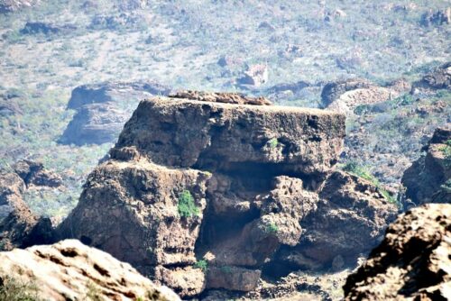 DSC 0725 (1) (1) (1) (1)