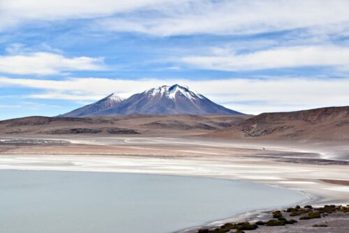 DSC 0725 (1) (1) (1) (1) (1)