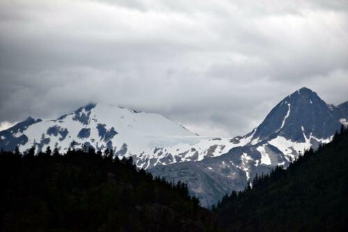 DSC 0727 (1) (1)