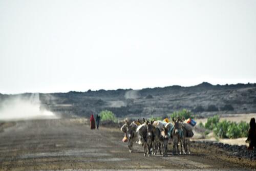 DSC 0730 (1)