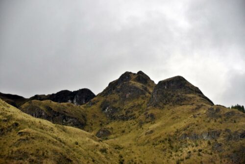 DSC 0752 (1) (1) (1) (1)