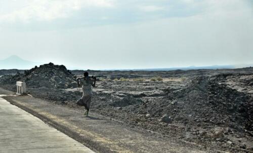 DSC 0772 (1) (1)
