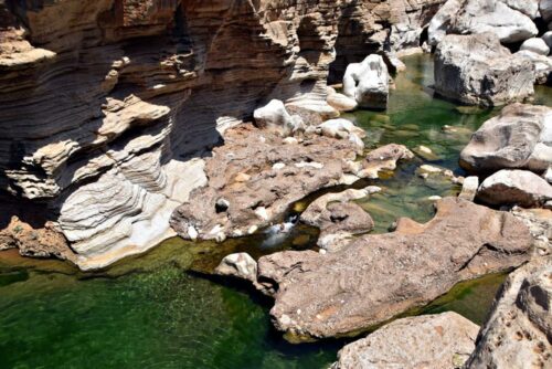 DSC 0778 (1) (1) (1)