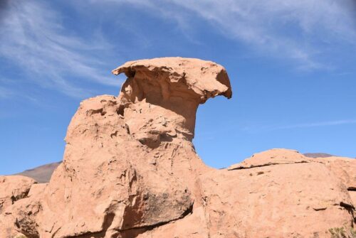 DSC 0778 (1) (1) (1) (1) (1)