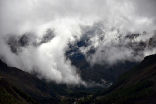 DSC 0786 (1) (1) (1) (1)