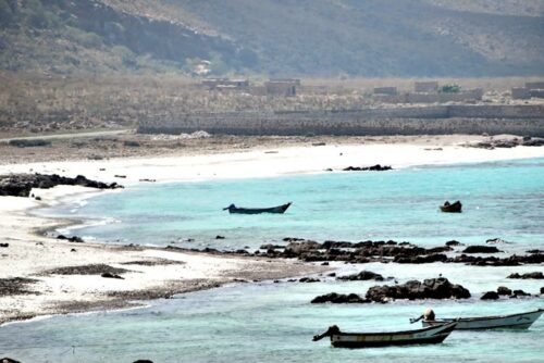 DSC 0797 (1) (1) (1)