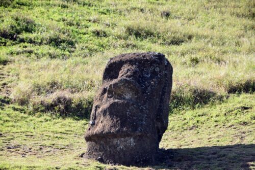 DSC 0805 (1) (1) (1)