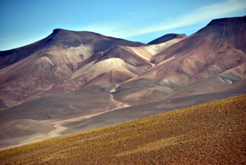 DSC 0815 (1) (1) (1) (1)