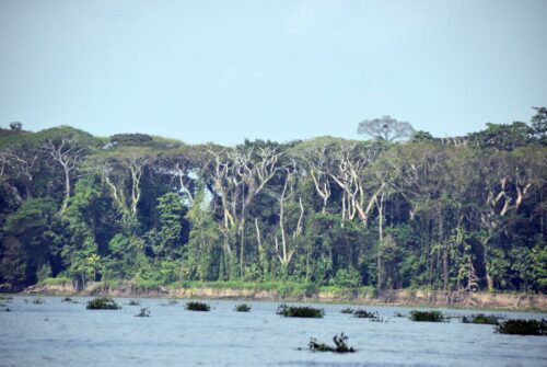DSC 0821 (1) (1) (1)