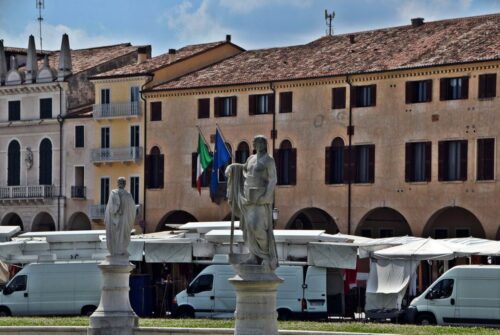 DSC 0831 (1) (1) (1)