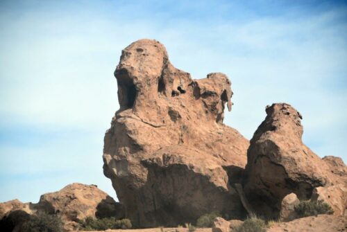 DSC 0834 (1) (1) (1) (1)