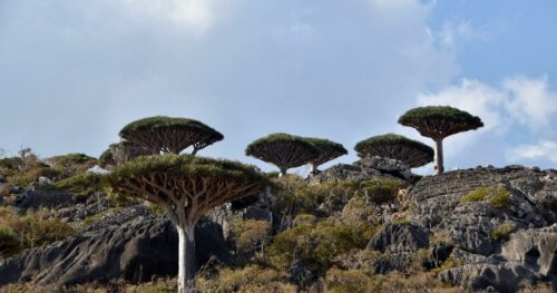 DSC 0836 (1) (1) (1)