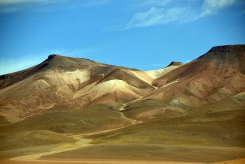 DSC 0850 (1) (1) (1)