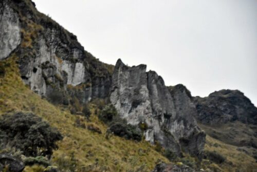 DSC 0850 (1) (1) (1) (1)