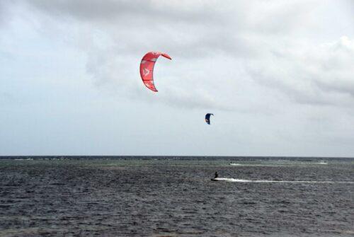 DSC 0867 (1) (1)