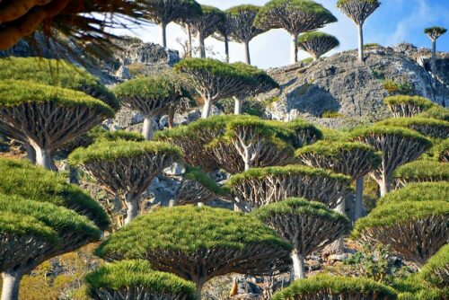 DSC 0885 (1) (1) (1)