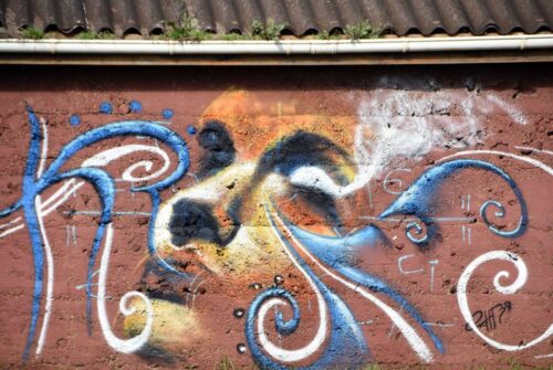 DSC 0894 (1) (1) (1) (1)