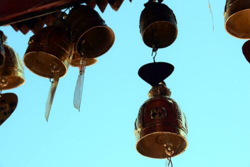 DSC 0901 (1)