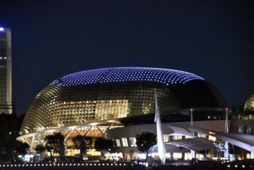 DSC 0917 (1) (1)