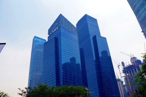 DSC 0919