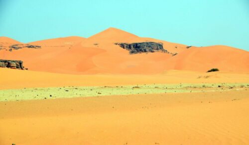 DSC 0925 (1) (1) (1)