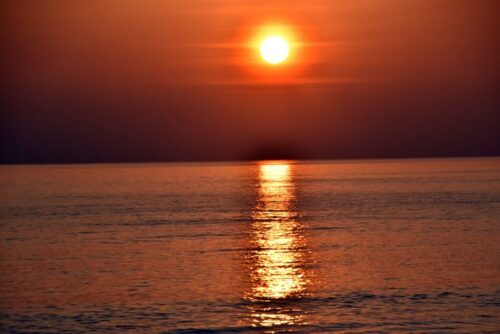 DSC 0925 (1) (1) (1) (1) (1)