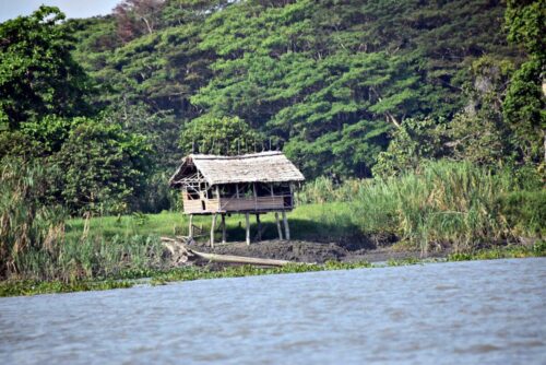 DSC 0931 (1) (1)