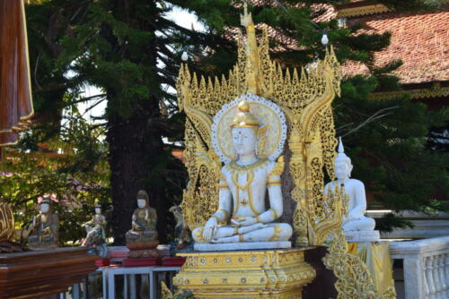 DSC 0945 (1) (1) (1)