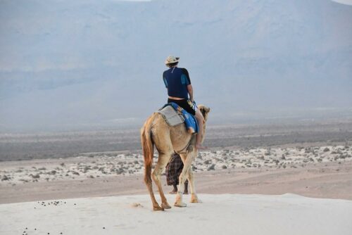 DSC 0954 (1) (1) (1) (1)