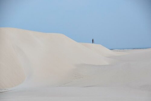 DSC 0965 (1) (1) (1) (1)