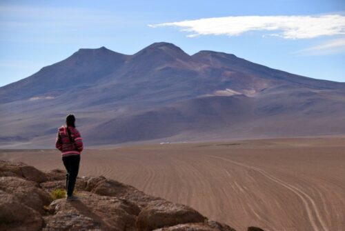 DSC 0970 (1) (1) (1) (1)