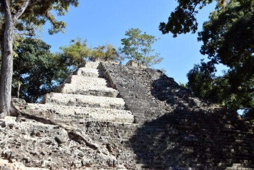 DSC 0982 (1) (1) (1)