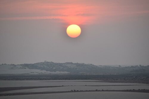 DSC 0983 (1) (1) (1)